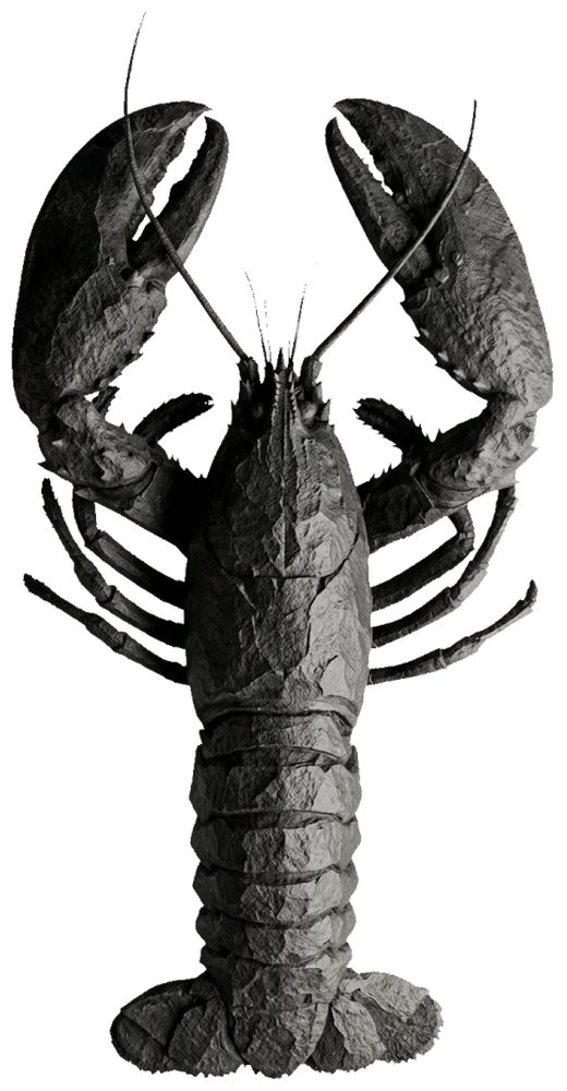 Lobster: Камінь